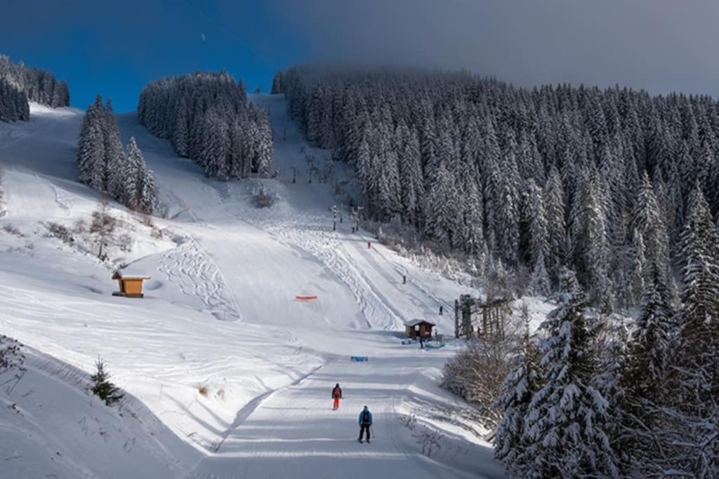 Dans Residence Neuve Le Snow Roc Sur Les Pistes, Grand Studio Cosy 5 Pers Avec Terrasse Panoramique, Sauna, Wifi Saint-Jean-dʼAulps Zewnętrze zdjęcie