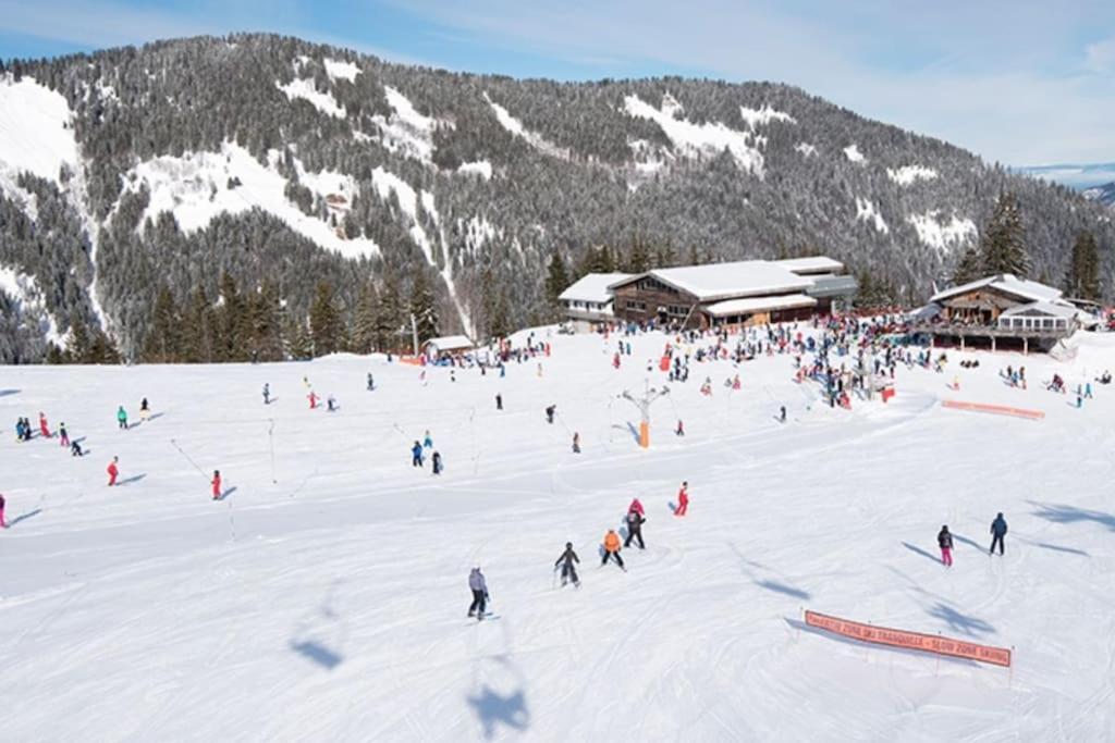 Dans Residence Neuve Le Snow Roc Sur Les Pistes, Grand Studio Cosy 5 Pers Avec Terrasse Panoramique, Sauna, Wifi Saint-Jean-dʼAulps Zewnętrze zdjęcie
